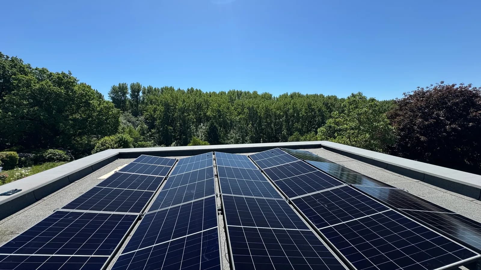 Flachdach-Photovoltaik einer Kundenanlage vor Waldpanorama